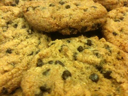 chocolate chip cookies